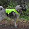 jakttäcke för hund gul